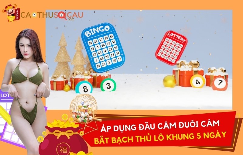 Áp dụng đầu câm đuôi câm để bắt bạch thủ lô khung 5 ngày