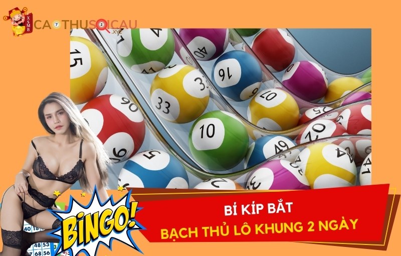 Bí kíp bắt Bạch thủ lô khung 2 ngày đỉnh của chóp