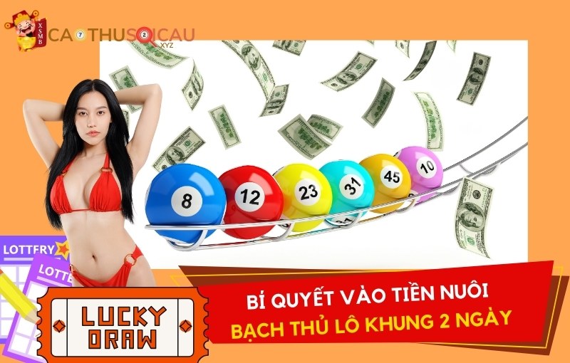 Bí quyết vào tiền bạch thủ lô khung 2 ngày tăng lợi nhuận