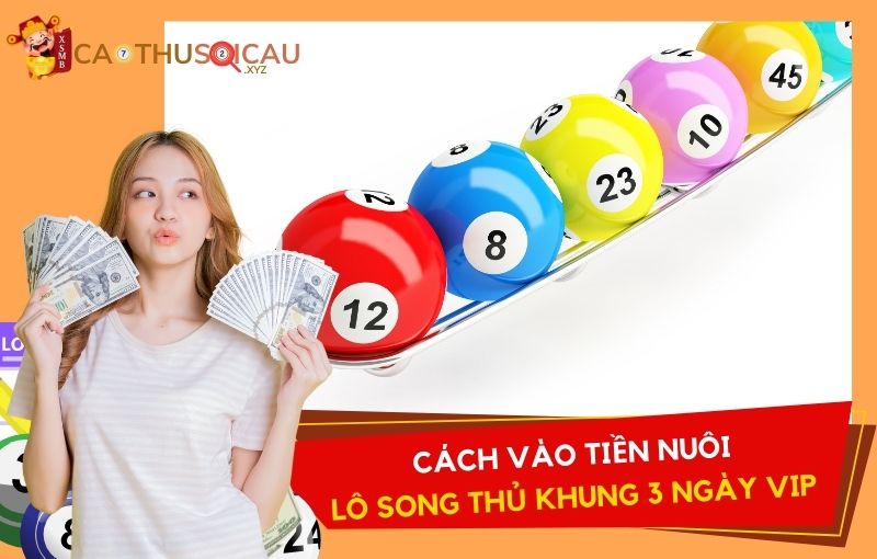 Cách vào tiền nuôi lô song thủ khung 3 ngày VIP