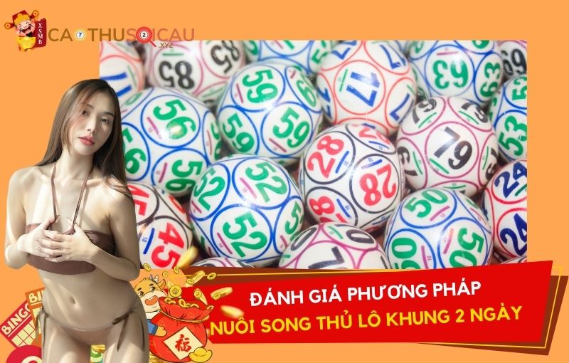 Đánh giá về phương pháp nuôi song thủ lô khung 2 ngày