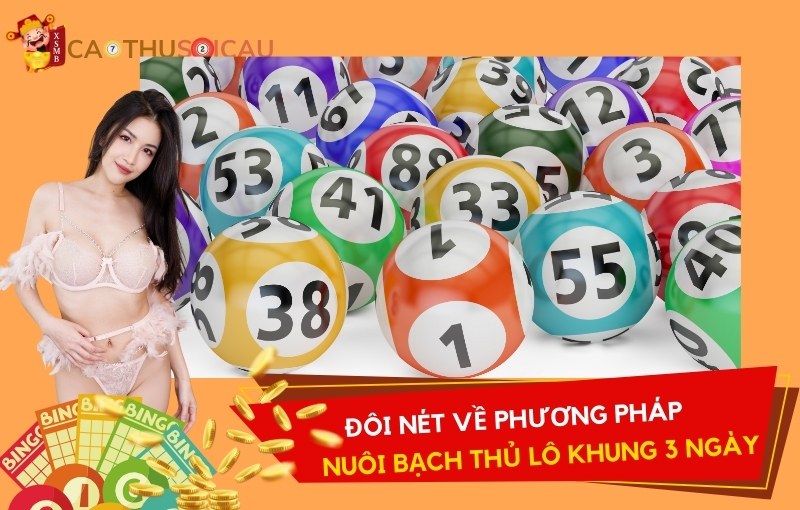 Đôi nét về phương pháp nuôi bạch thủ lô khung 3 ngày