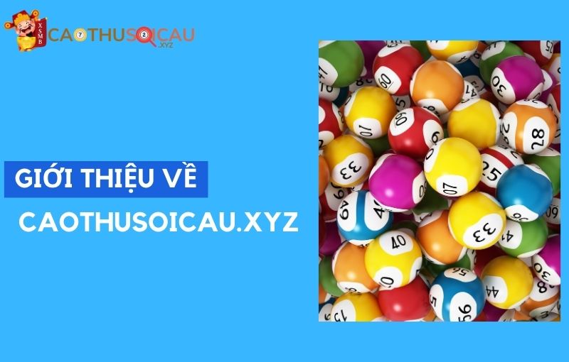 Giới thiệu về Caothusoicau.xyz