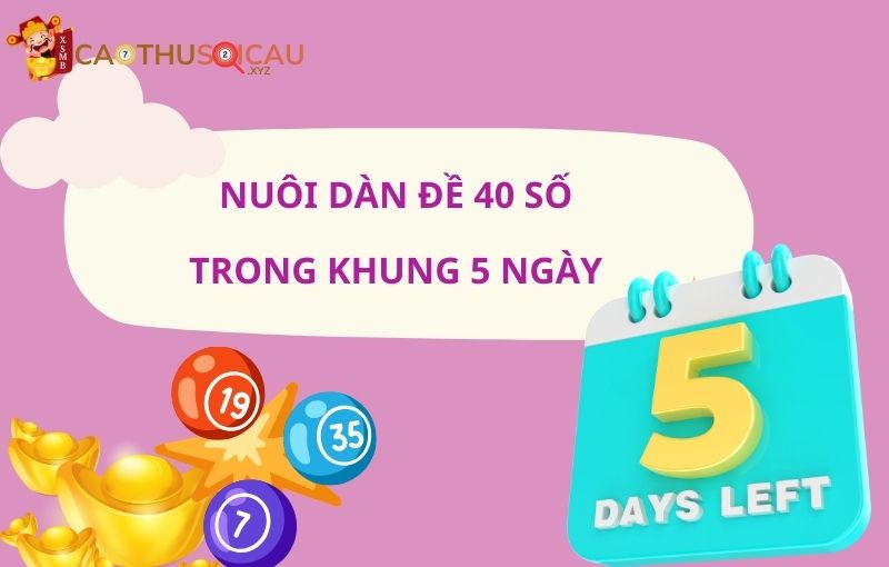 Nuôi dàn đề 40 số trong khung 5 ngày