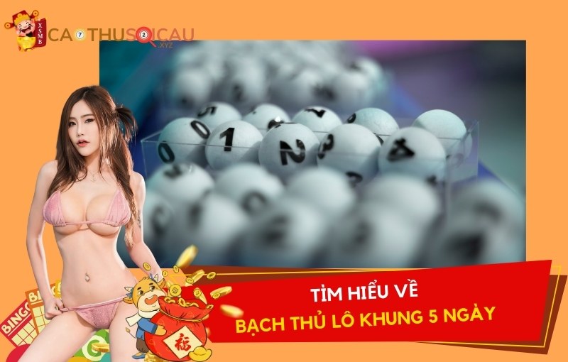 Tìm hiểu về bạch thủ lô khung 5 ngày