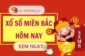 Cao Thủ Soi Cầu Dự Đoán Xổ Số Miền Bắc Ngày 08/09/2024