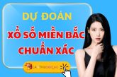 Cao Thủ Soi Cầu Dự Đoán Xổ Số Miền Bắc Ngày 21/10/2024