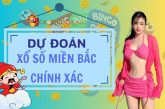 Cao Thủ Soi Cầu Dự Đoán Xổ Số Miền Bắc Ngày 27/10/2024