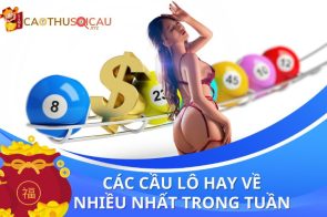 Tổng hợp chi tiết các cầu lô hay về nhiều nhất XSMB