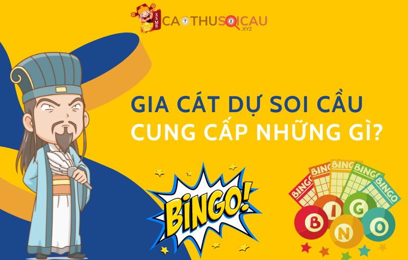 Gia Cát Dự Soi Cầu cung cấp những gì?