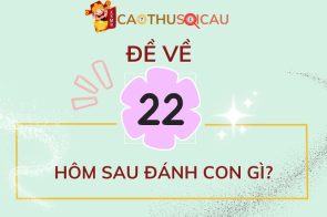 Đề về 22 hôm sau đánh con gì? Nhận định từ Cao thủ soi cầu