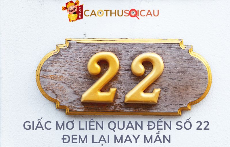 Giấc mơ liên quan đến số 22 đem lại may mắn