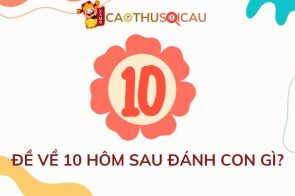 Cao thủ soi cầu giải đáp: Đề về 10 hôm sau đánh con gì?