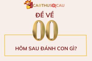 Sự thật về đề về 00 – Đề về 00 hôm sau đánh con gì?