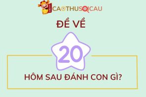 Kinh nghiệm chơi đề về 20 hôm sau đánh con gì dễ trúng nhất