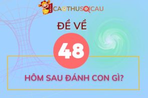 Hôm trước đề về 48 hôm sau đánh con gì ăn tiền?