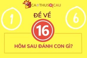 Ý nghĩa số 16 – Đề về 16 hôm sau đánh con gì? 