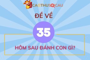 Đề về 35 hôm sau đánh con gì? Lô số mấy ra ngày hôm sau?