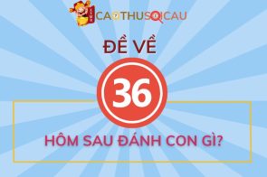 Ý nghĩa số 36 là gì? Đề về 36 hôm sau đánh con gì? 