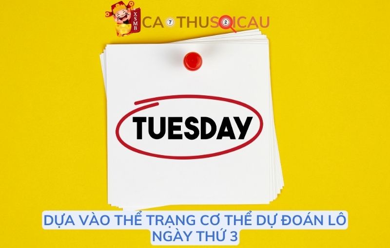 Dựa vào thể trạng cơ thể dự đoán thứ 3 ra lô gì?