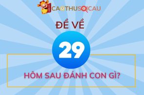 Hôm trước đề về 29 hôm sau đánh con gì? Lô số mấy?