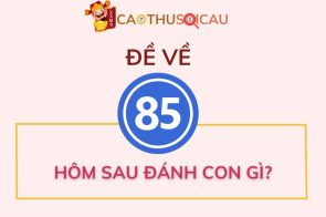 Bật mí đề về 85 hôm sau đánh con gì ăn tiền nhà cái?