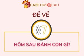 Thống kê chi tiết đề về 87 hôm sau đánh con gì?