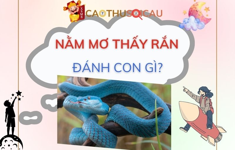 Nằm mơ thấy rắn là điềm gì? Chiêm bao thấy rắn đánh số mấy?