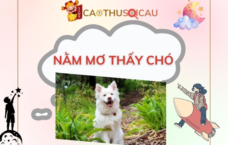 Giải mã giấc mơ thấy chó đánh con gì trúng lớn hôm sau?