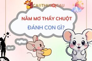 Nằm mơ thấy chuột đánh con gì? Điềm báo hung hay cát?