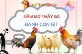 Giải mã giấc mơ về gà: Nằm mơ thấy gà đánh con gì?