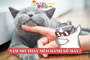 Giải mã nằm mơ thấy mèo đánh số mấy may mắn?