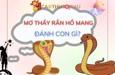 Nằm mơ thấy rắn hổ mang đánh đề con gì hôm nay?