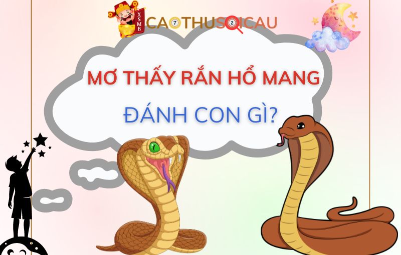 Nằm mơ thấy rắn hổ mang đánh đề con gì