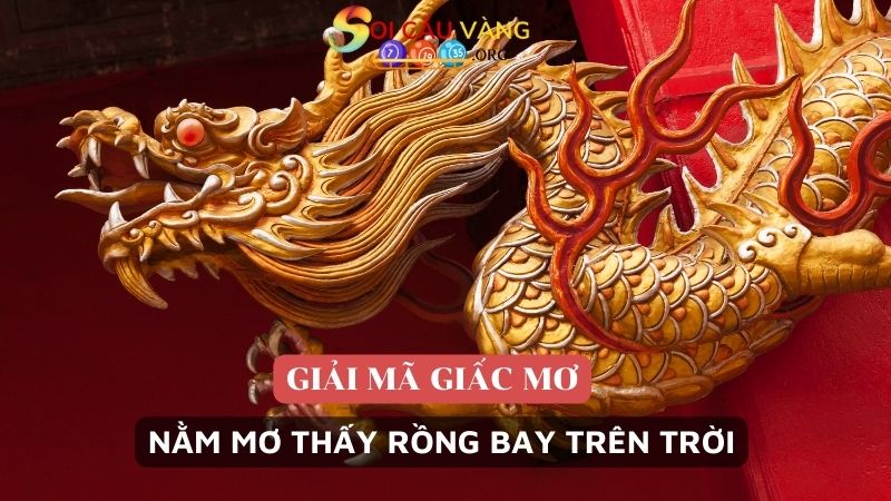 Nằm mơ thấy rồng bay trên trời