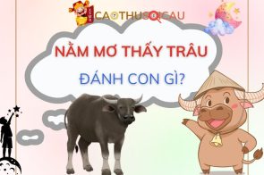 Nằm mơ thấy trâu đánh con gì? Là điềm báo tốt hay xấu?