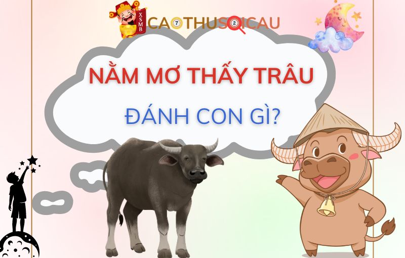 Bật mí nằm mơ thấy trâu đánh số mấy?