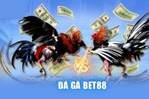 Đá Gà Bet88: Trải Nghiệm Livestream Gay Cấn & Chân Thực