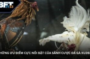 Đá gà KU3933 – Sân chơi trực tuyến hấp dẫn cho người yêu gà chiến